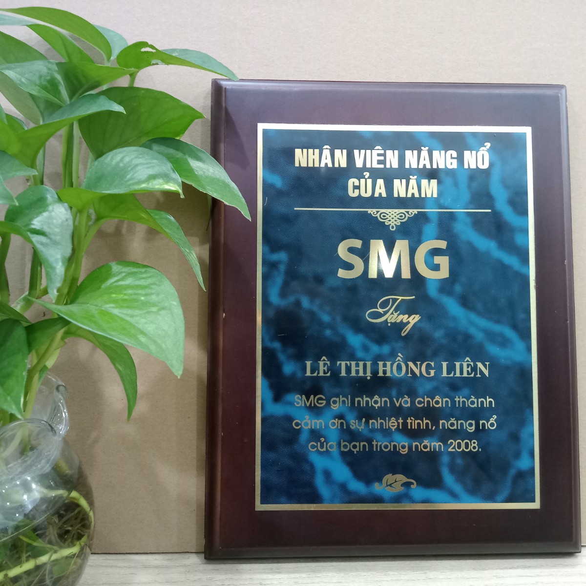 Giải thưởng nhân viên năng nổ của năm